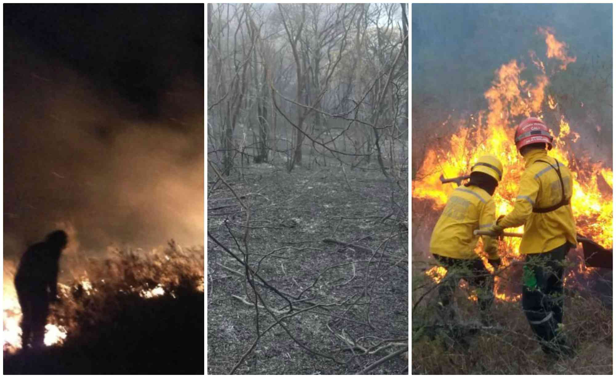 Así Combaten Un Incendio Forestal Que En Menos De Dos Días Ha Consumido 120 Hectáreas Trends 5106